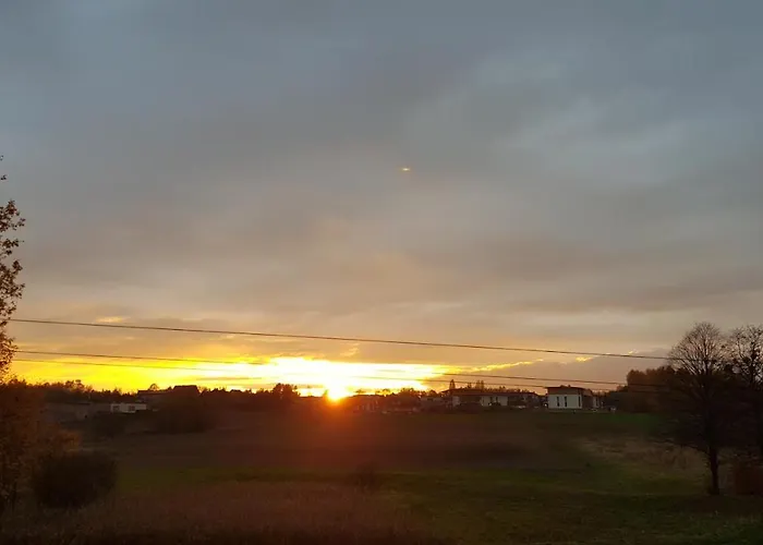 Fibra Essenza * Rybnik (Silesia)